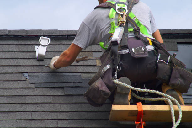 Roof Gutter Cleaning in Tarpey Village, CA